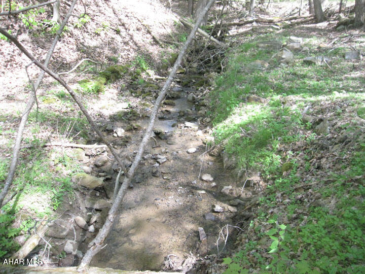 Off North Silver Pine Road Petersburg, PA 16669 - Photo 24 of 29 Gallery Image 24