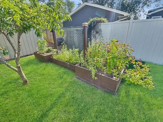 a view of a bird bath