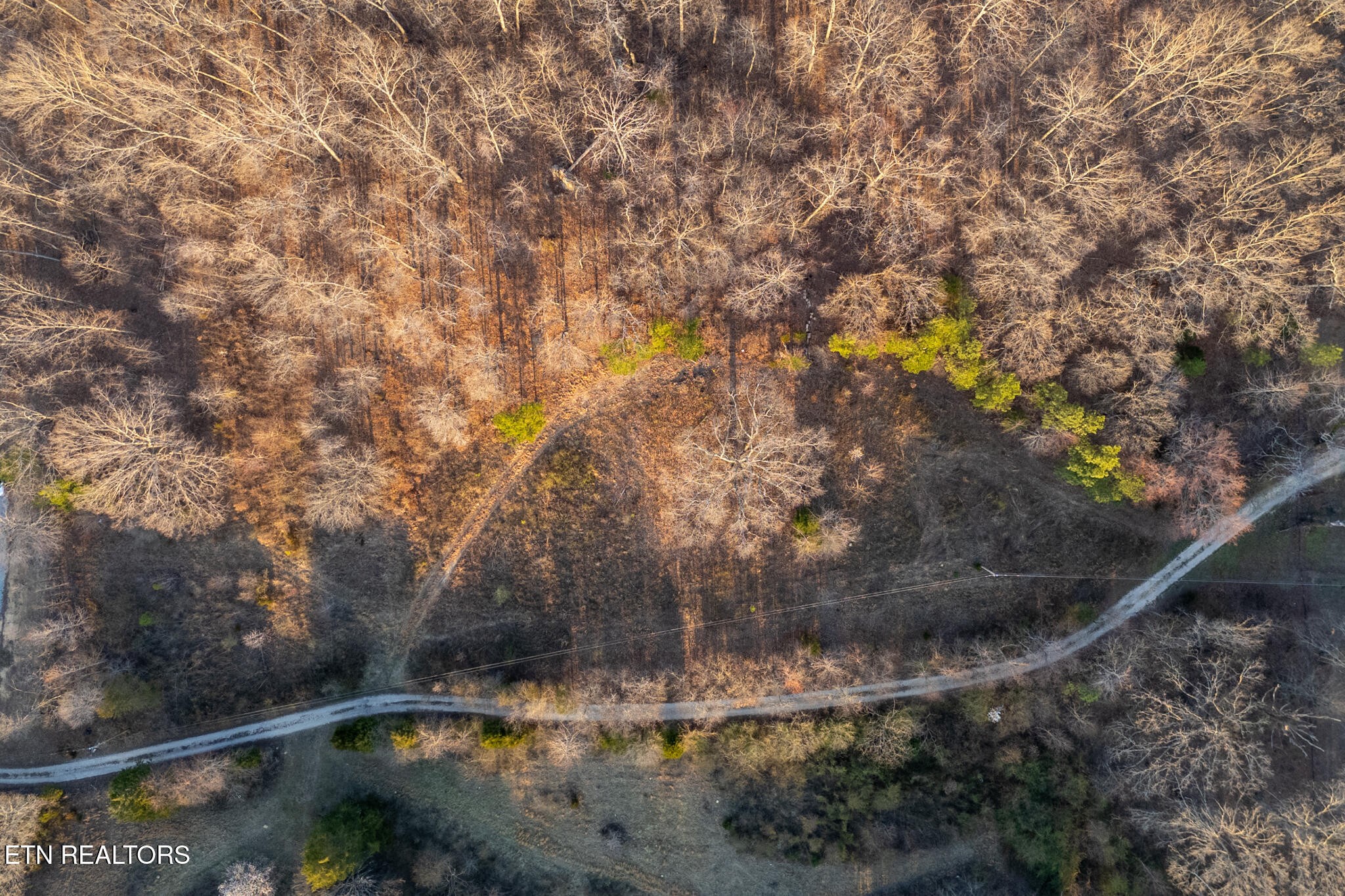 0 Maple Grove Road Ten Mile, TN 37880 - Photo 3 of 4 Gallery Image 3