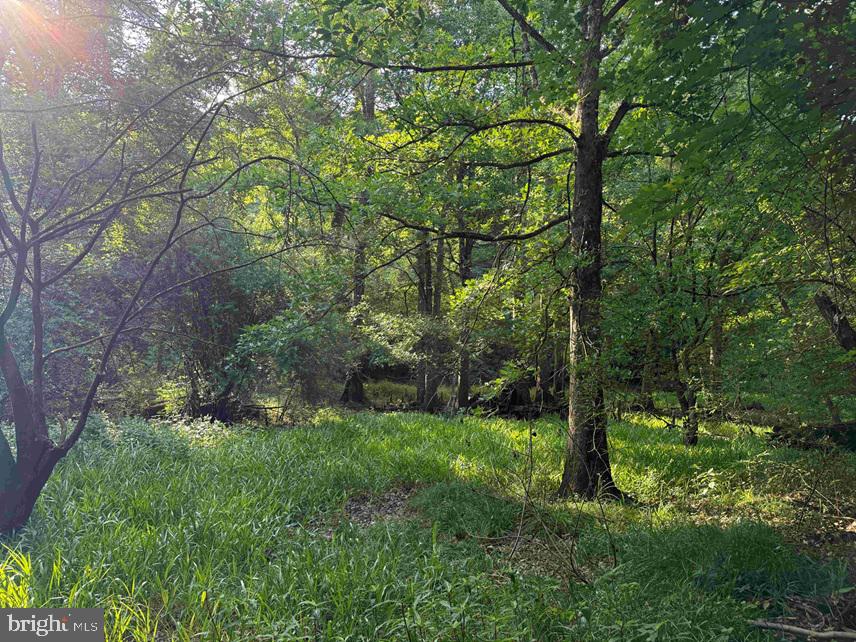 Sarecta Road Kenansville, NC 28349 - Photo 10 of 28
