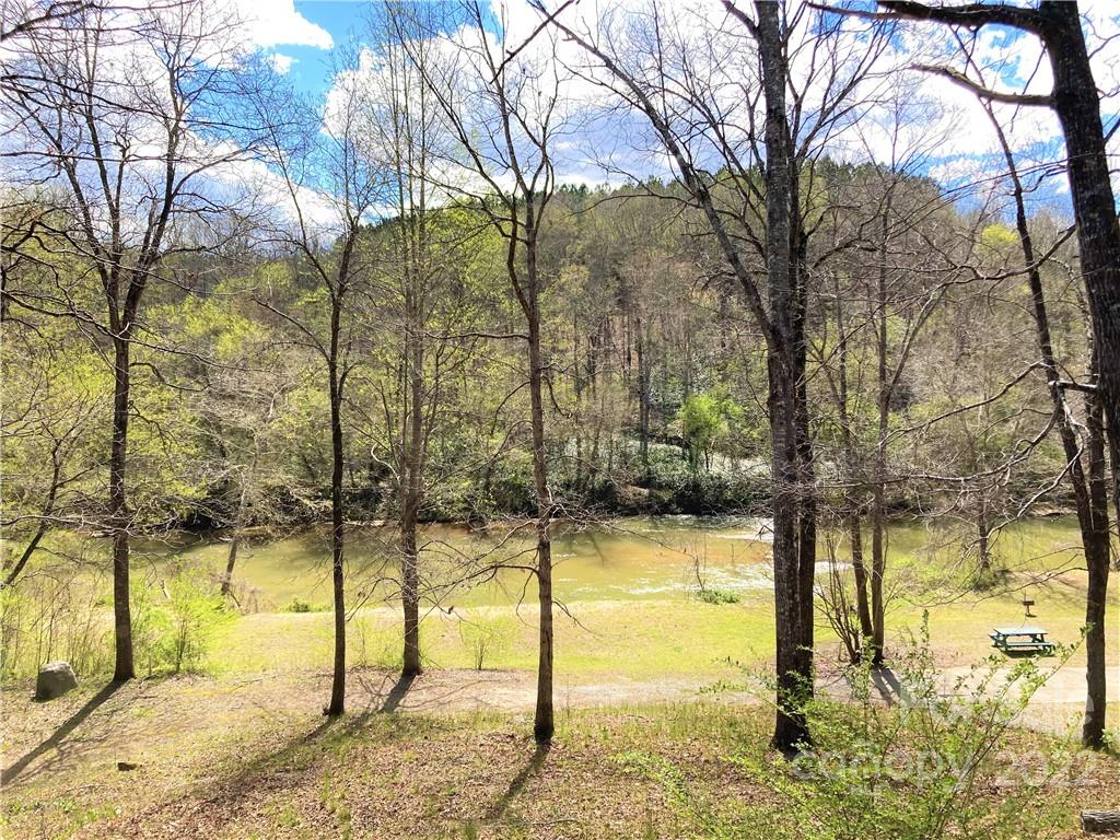 268 Sasafras Ridge Rutherfordton, NC 28139 - Photo 43 of 48