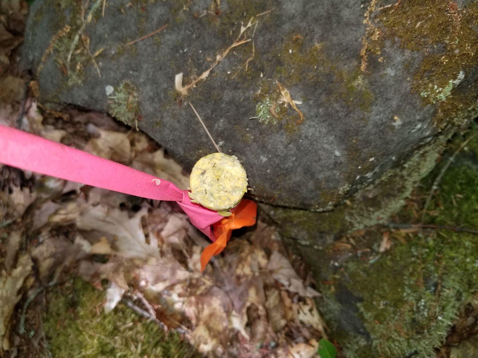0 Upper Tarbox Road Hollis Center, ME 04042 - Photo 20 of 47 Boundary pin along south line