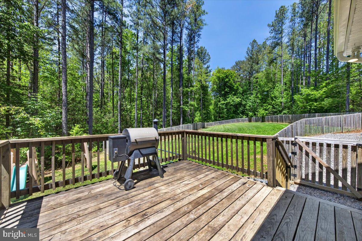 844 Manchester Road Bumpass, VA 23024 - Photo 52 of 65 Rear deck