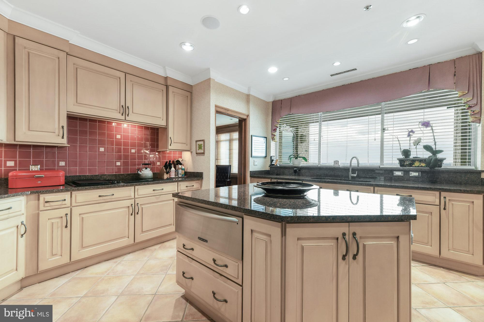 100 Harborview Drive, Unit PH1D Baltimore, MD 21230 - Photo 10 of 39 Kitchen With Harbor Views and Balcony