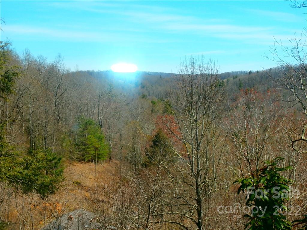 877 Chestnut Mountain Road Spruce Pine, NC 28777 - Photo 28 of 36 Gallery Image 28