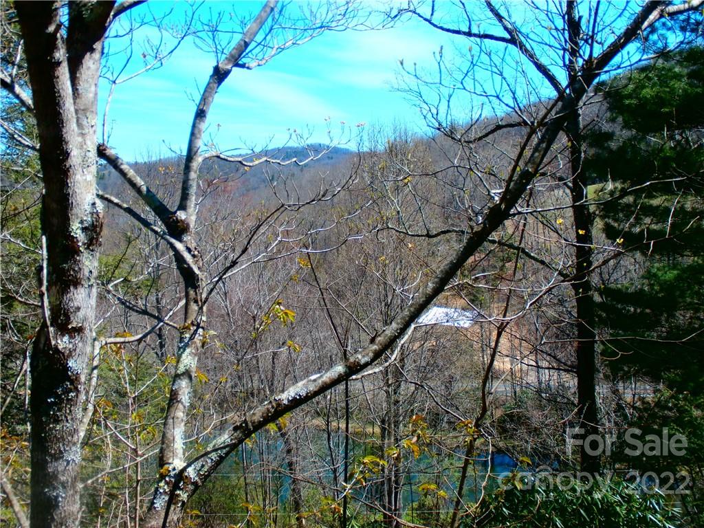 877 Chestnut Mountain Road Spruce Pine, NC 28777 - Photo 30 of 36 Gallery Image 30