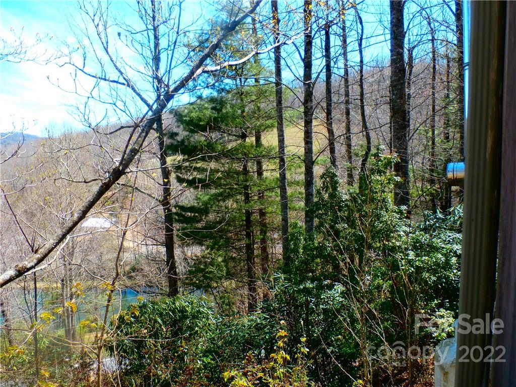 877 Chestnut Mountain Road Spruce Pine, NC 28777 - Photo 31 of 36 Gallery Image 31