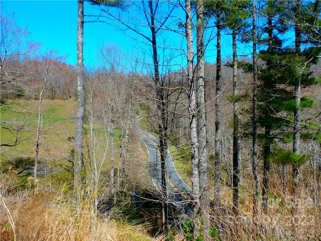 877 Chestnut Mountain Road Spruce Pine, NC 28777 - Photo 32 of 36 Gallery Image 32