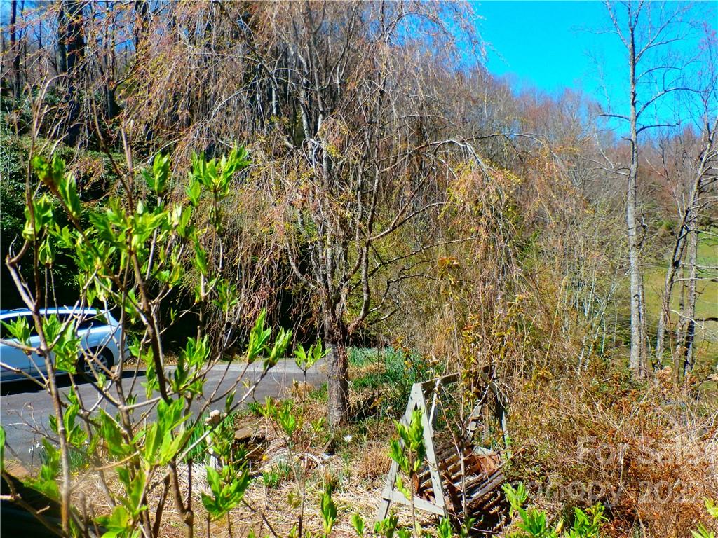 877 Chestnut Mountain Road Spruce Pine, NC 28777 - Photo 33 of 36 Gallery Image 33