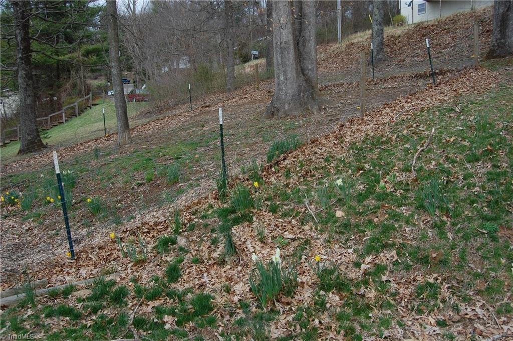 199 Grandridge Road Sparta, NC 28675 - Photo 17 of 18 Gallery Image 17