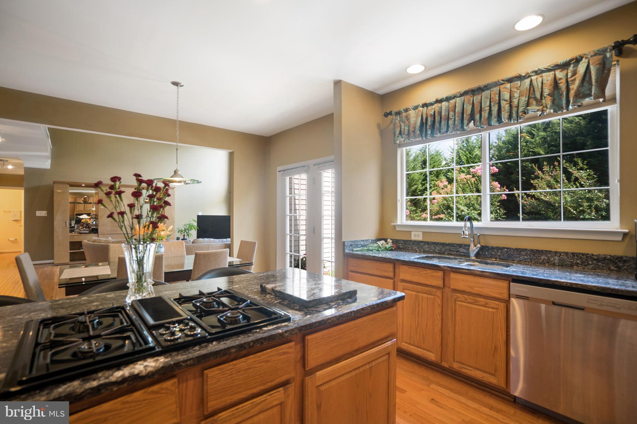 18431 Thundercloud Road Boyds, MD 20841 - Photo 12 of 30 Kitchen
