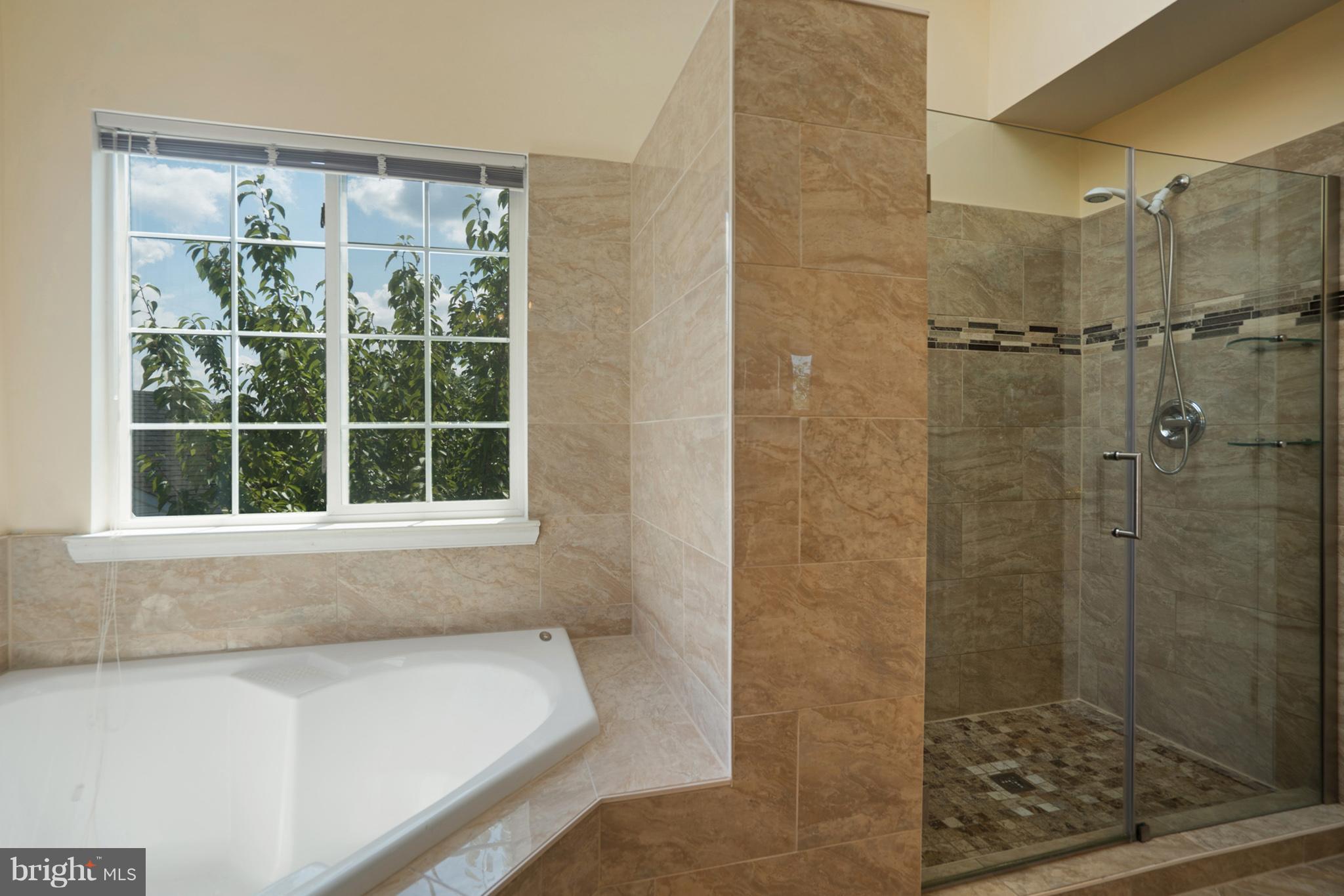 18431 Thundercloud Road Boyds, MD 20841 - Photo 18 of 30 Bath (Master)