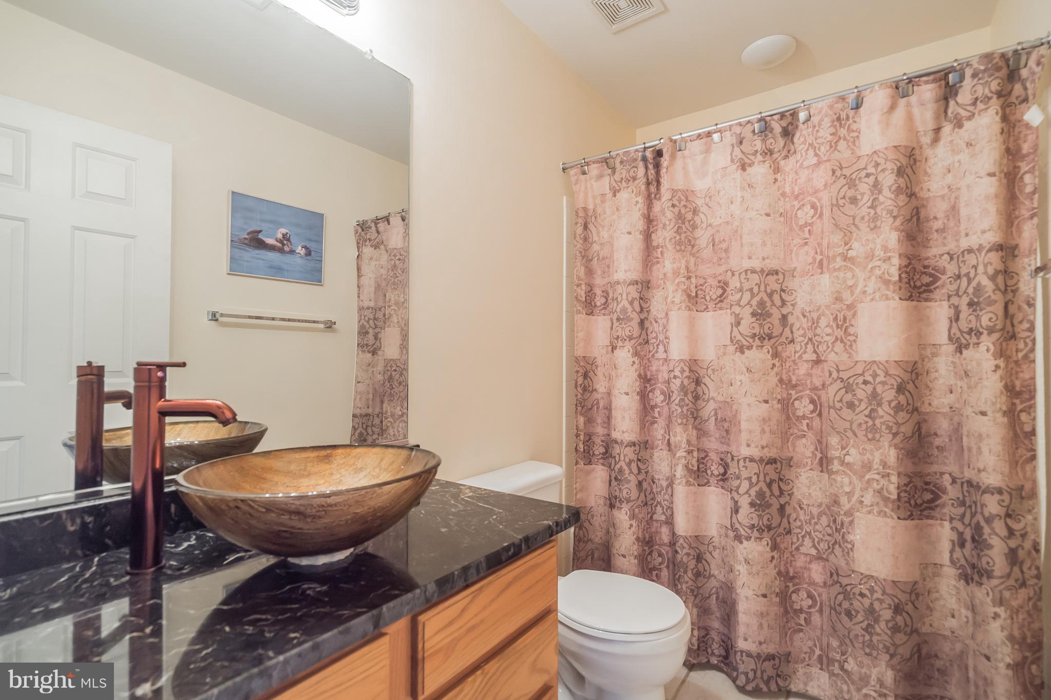 18431 Thundercloud Road Boyds, MD 20841 - Photo 21 of 30 Upper Level Bathroom