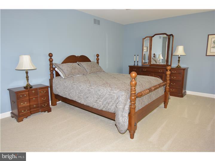 118 Grande Boulevard Sinking Spring, PA 19608 - Photo 14 of 25 Bedroom 3