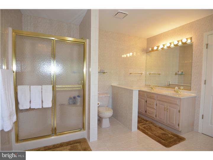 118 Grande Boulevard Sinking Spring, PA 19608 - Photo 18 of 25 Master Bathroom