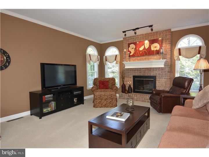 118 Grande Boulevard Sinking Spring, PA 19608 - Photo 5 of 25 Family Room