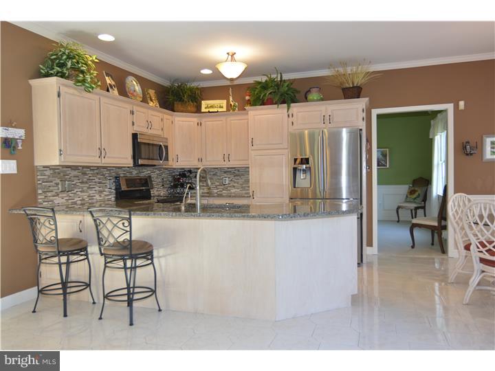 118 Grande Boulevard Sinking Spring, PA 19608 - Photo 6 of 25 Kitchen
