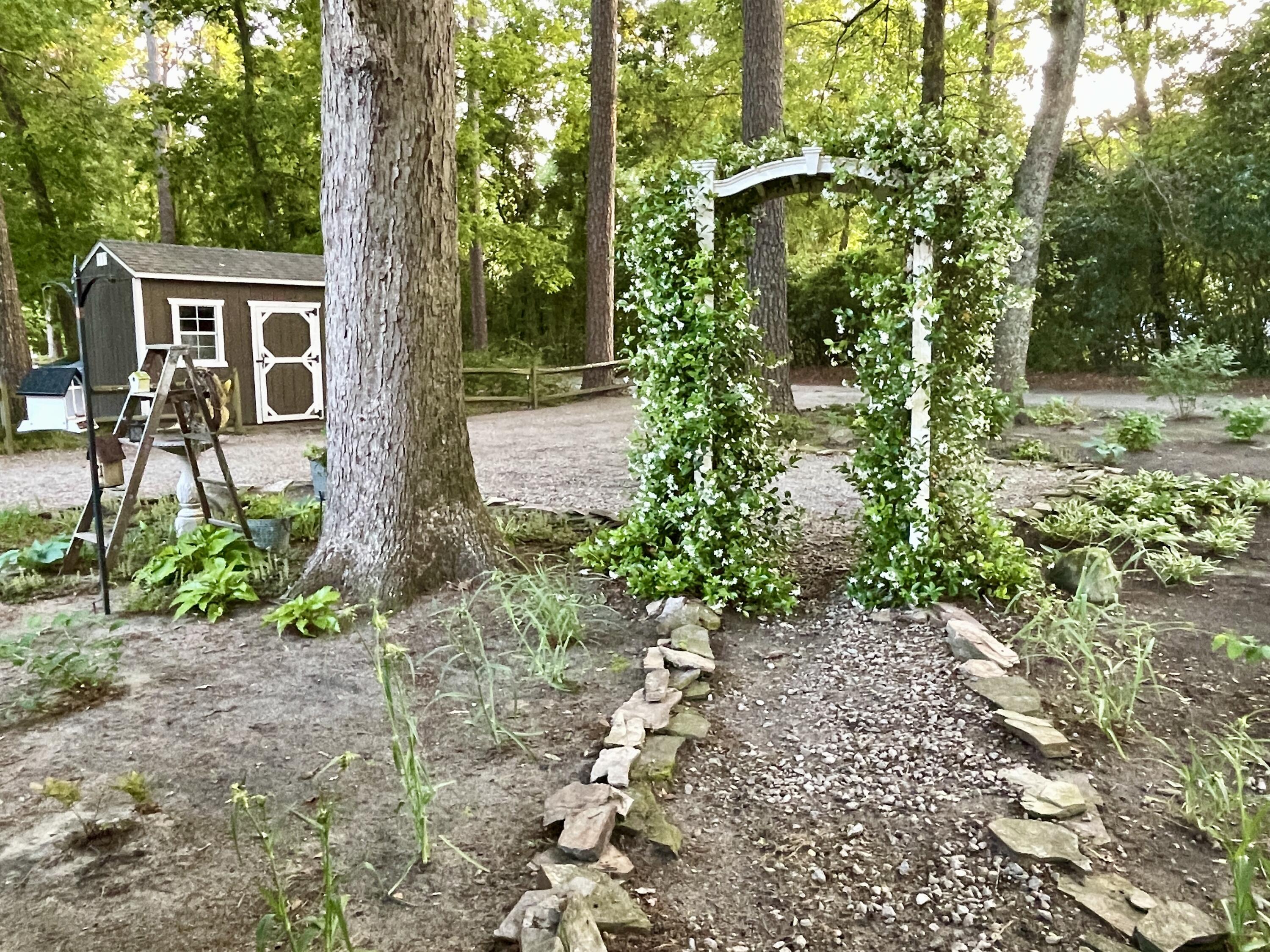 2166 Healing Springs Road Blackville, SC 29817 - Photo 37 of 43 a backyard of a house with lots of green space