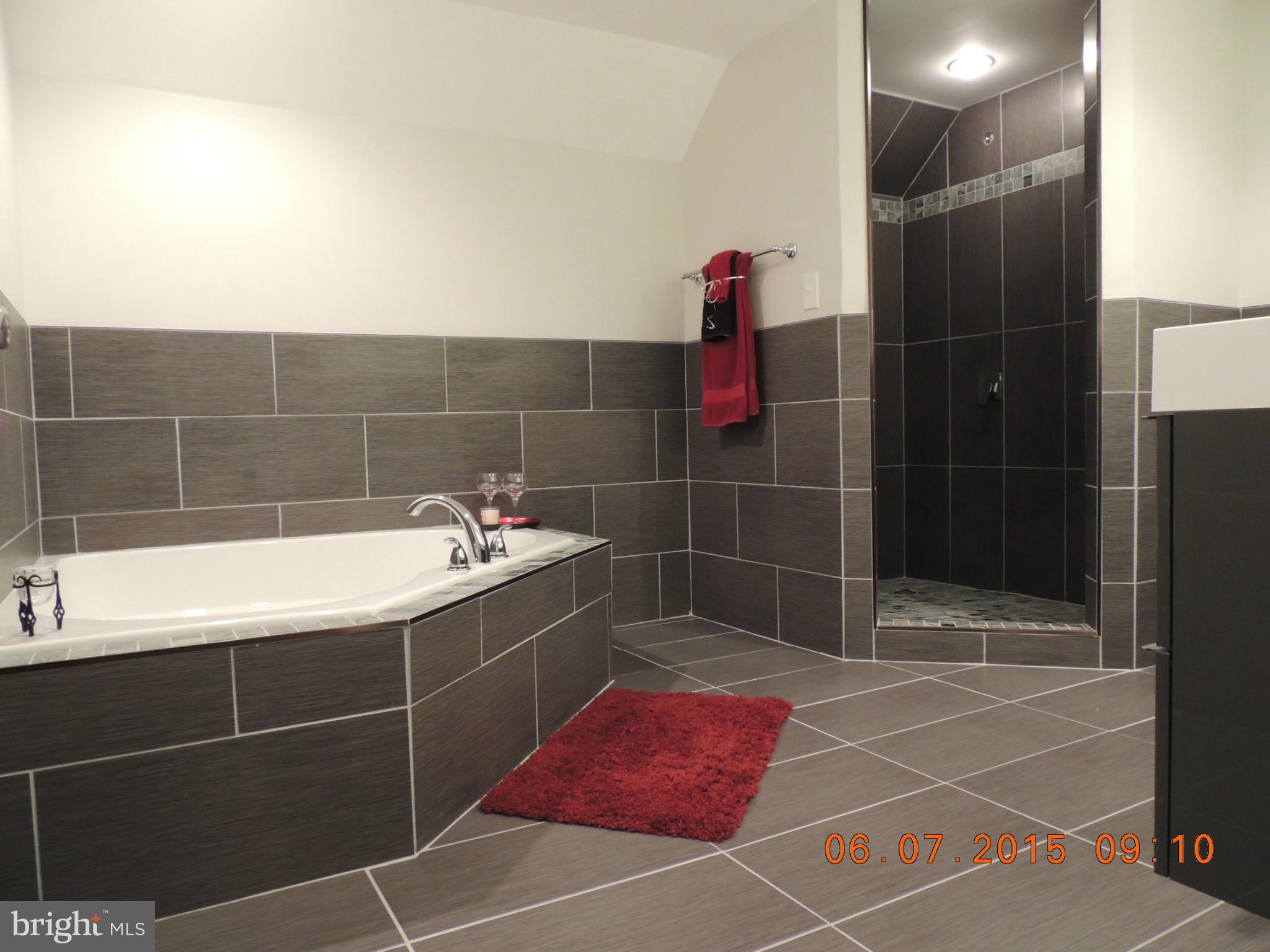 7419 Garrison Road Manassas, VA 20111 - Photo 22 of 30 Bath 2