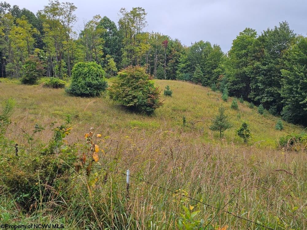 5196 Eden Road Rock Cave, WV 26234 - Photo 29 of 43 Gallery Image 29