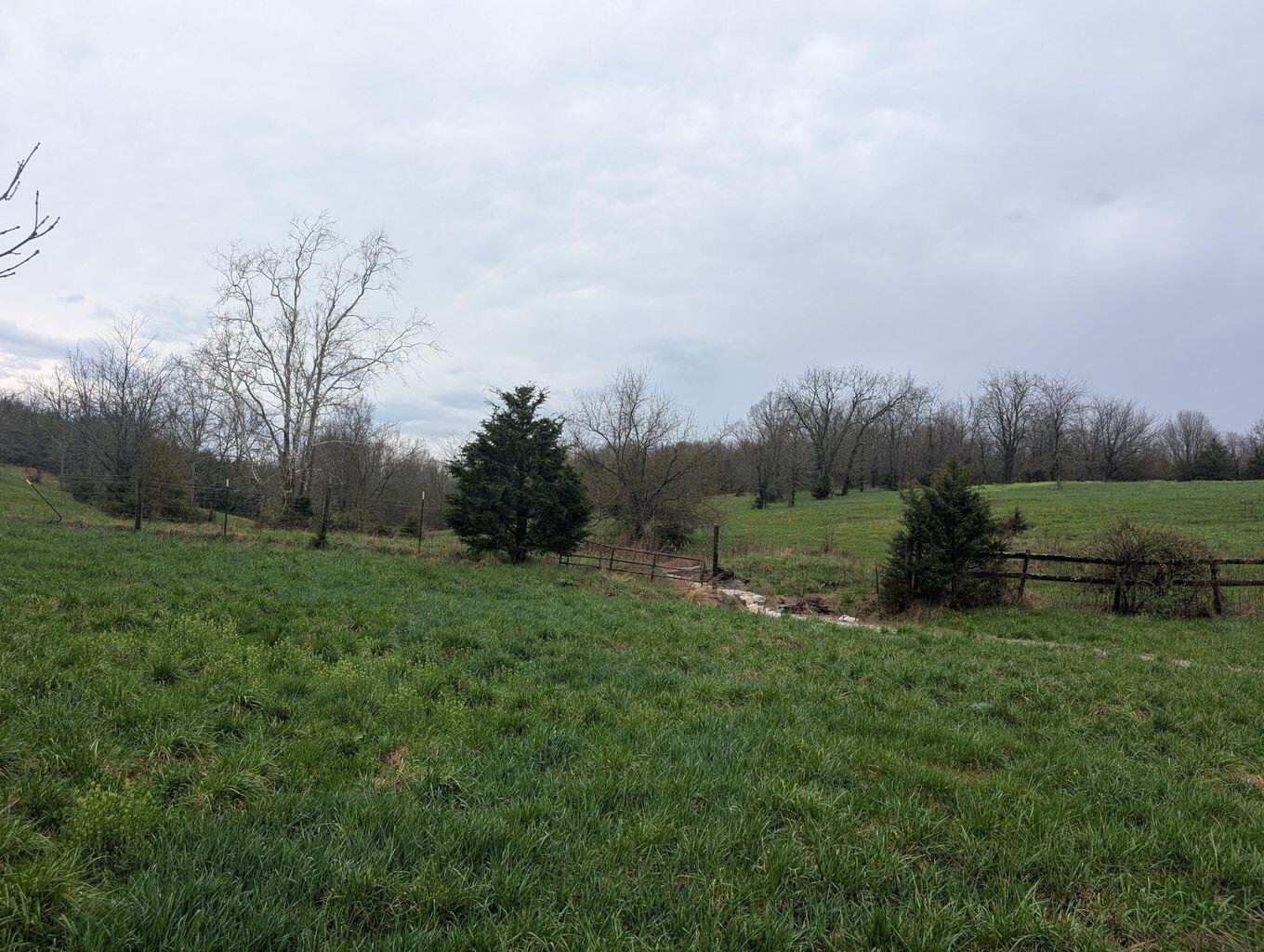51.85 Rutland Road Cynthiana, KY 41031 - Photo 8 of 33 Gallery Image 8