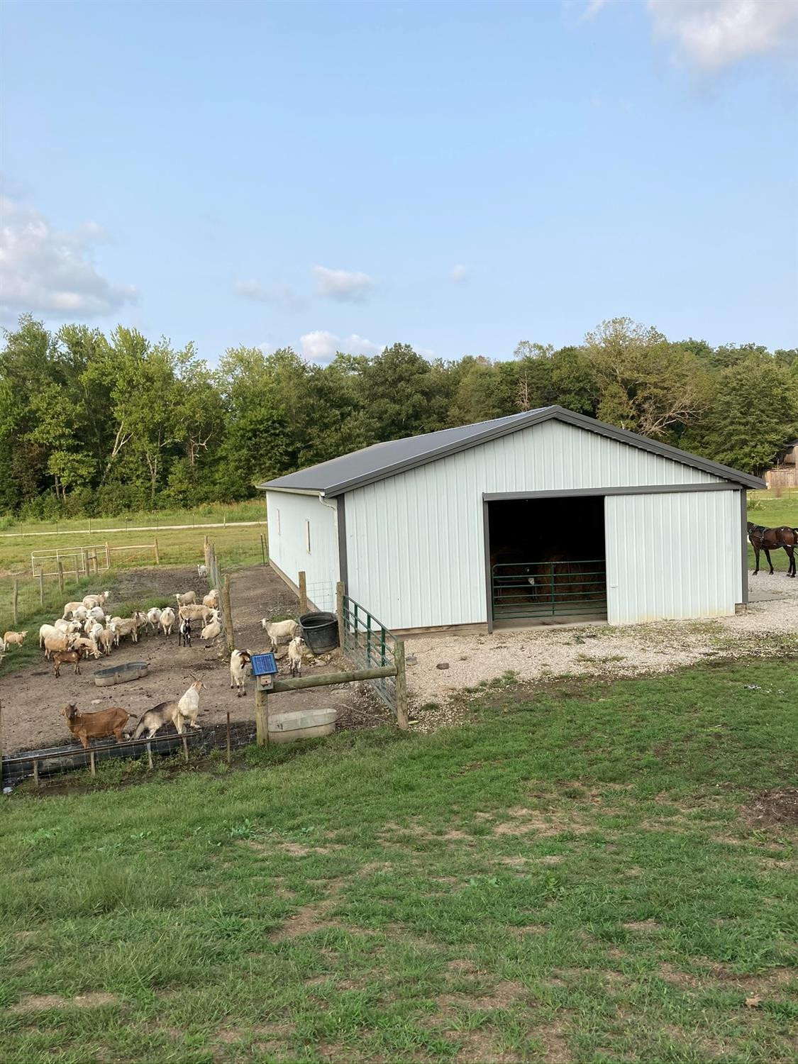 80 Davis Hollow Road Means, KY 40346 - Photo 5 of 17 Photo 5