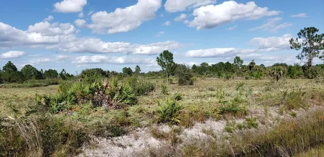 $33,000 | 16963 Northwest 292nd Street, Okeechobee, FL 34972