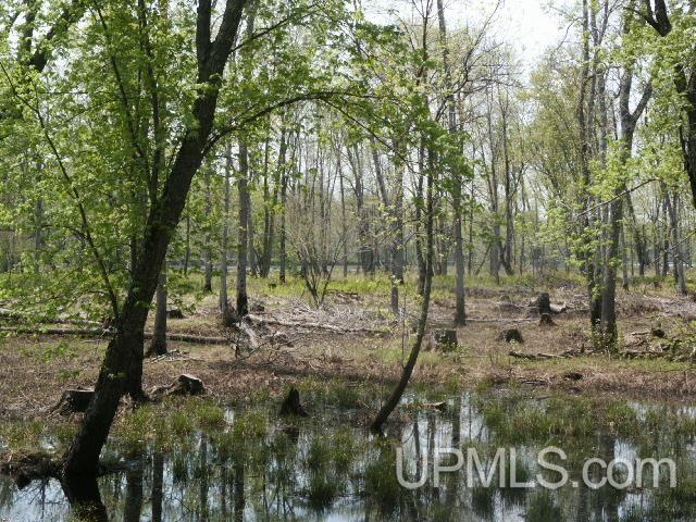 W9221 Snakey Lake Rd Lake Lake, MI 48632 - Photo 19 of 24