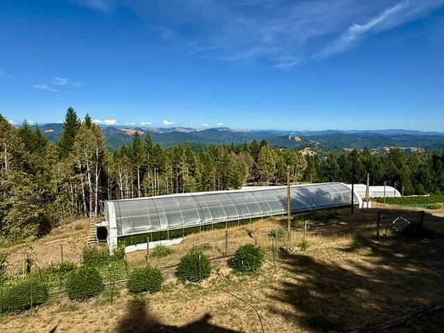 9320 Wilder Ridge Road Garberville, CA 95542 - Photo 48 of 60