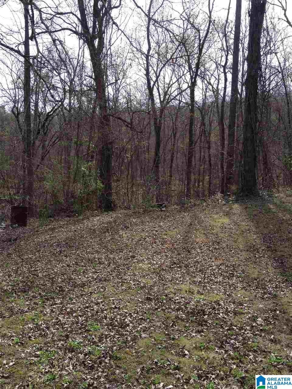 1110 Highway 59 Vincent, AL 35178 - Photo 10 of 11