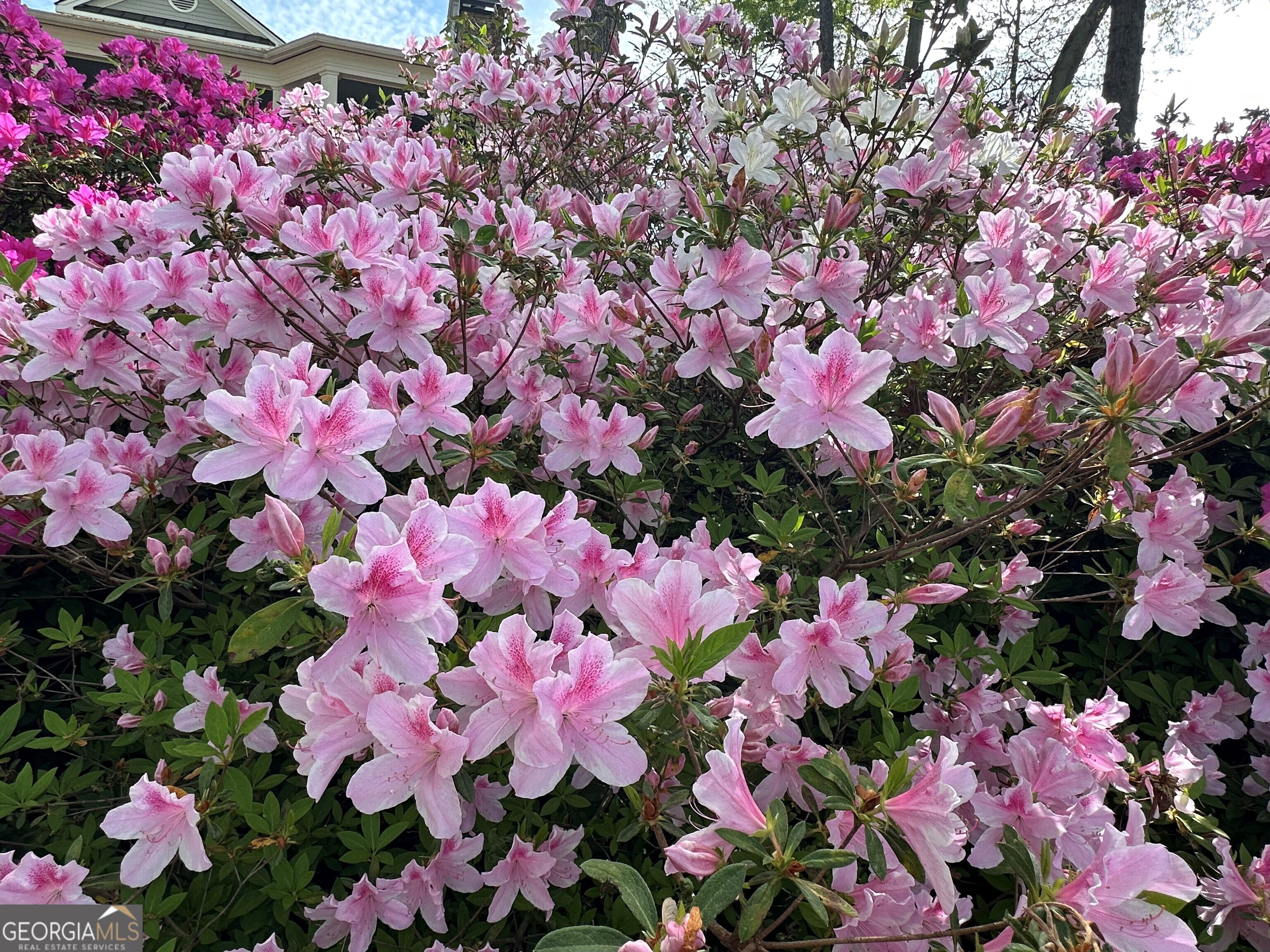 711 Bluff Road Statham, GA 30666 - Photo 13 of 79