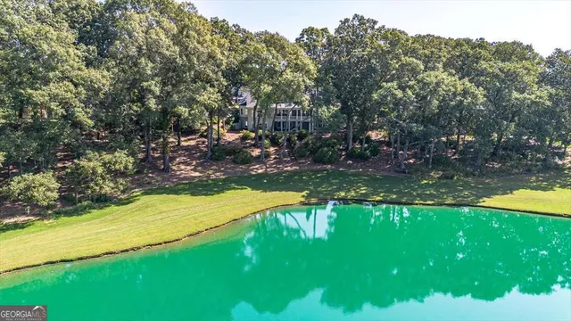 $3,700,000 | 711 Bluff Road, Statham, GA 30666