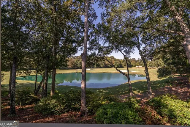 $3,700,000 | 711 Bluff Road, Statham, GA 30666