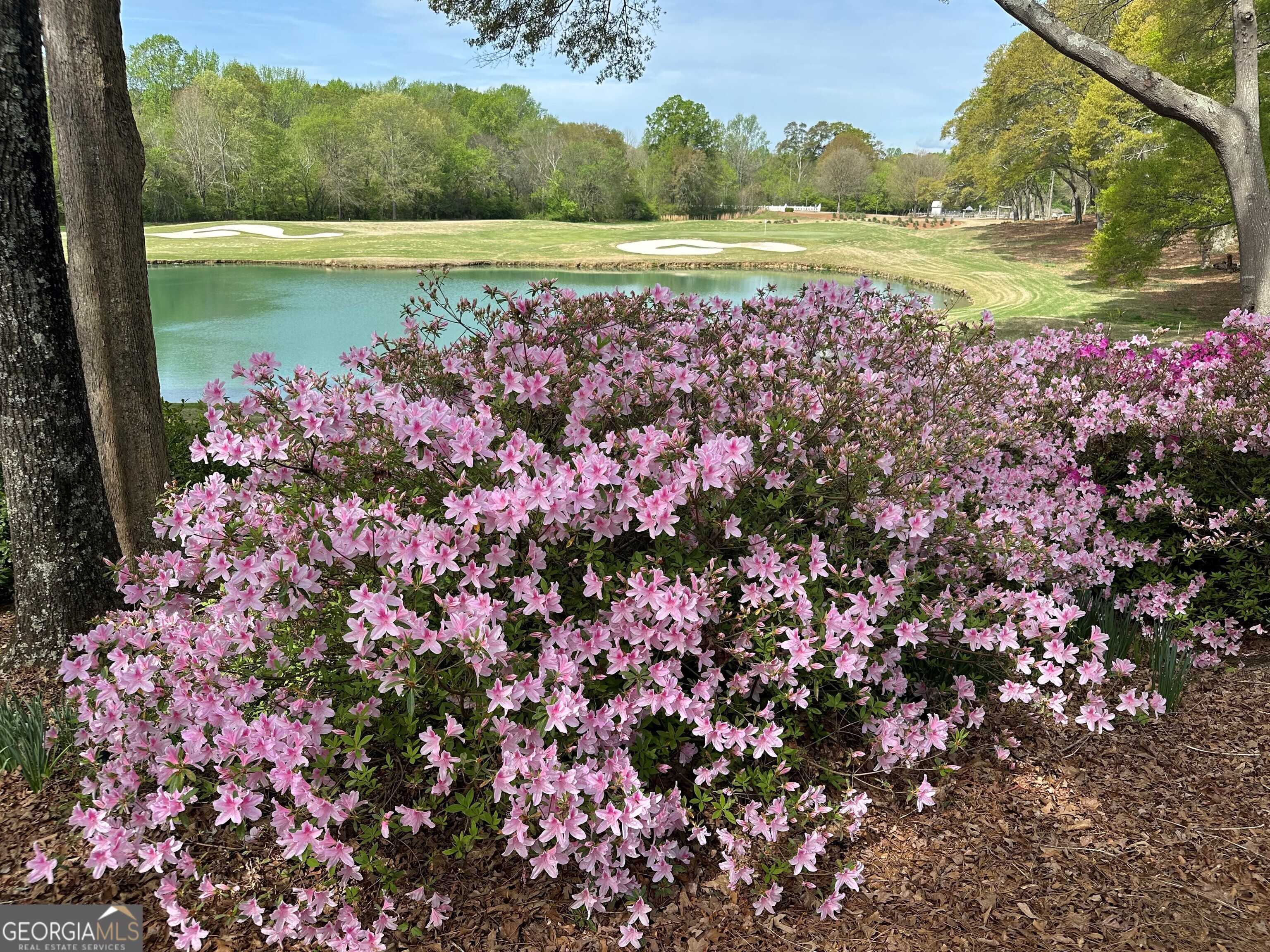 711 Bluff Road Statham, GA 30666 - Photo 73 of 79 a view of a lake with a big yard and potted plants