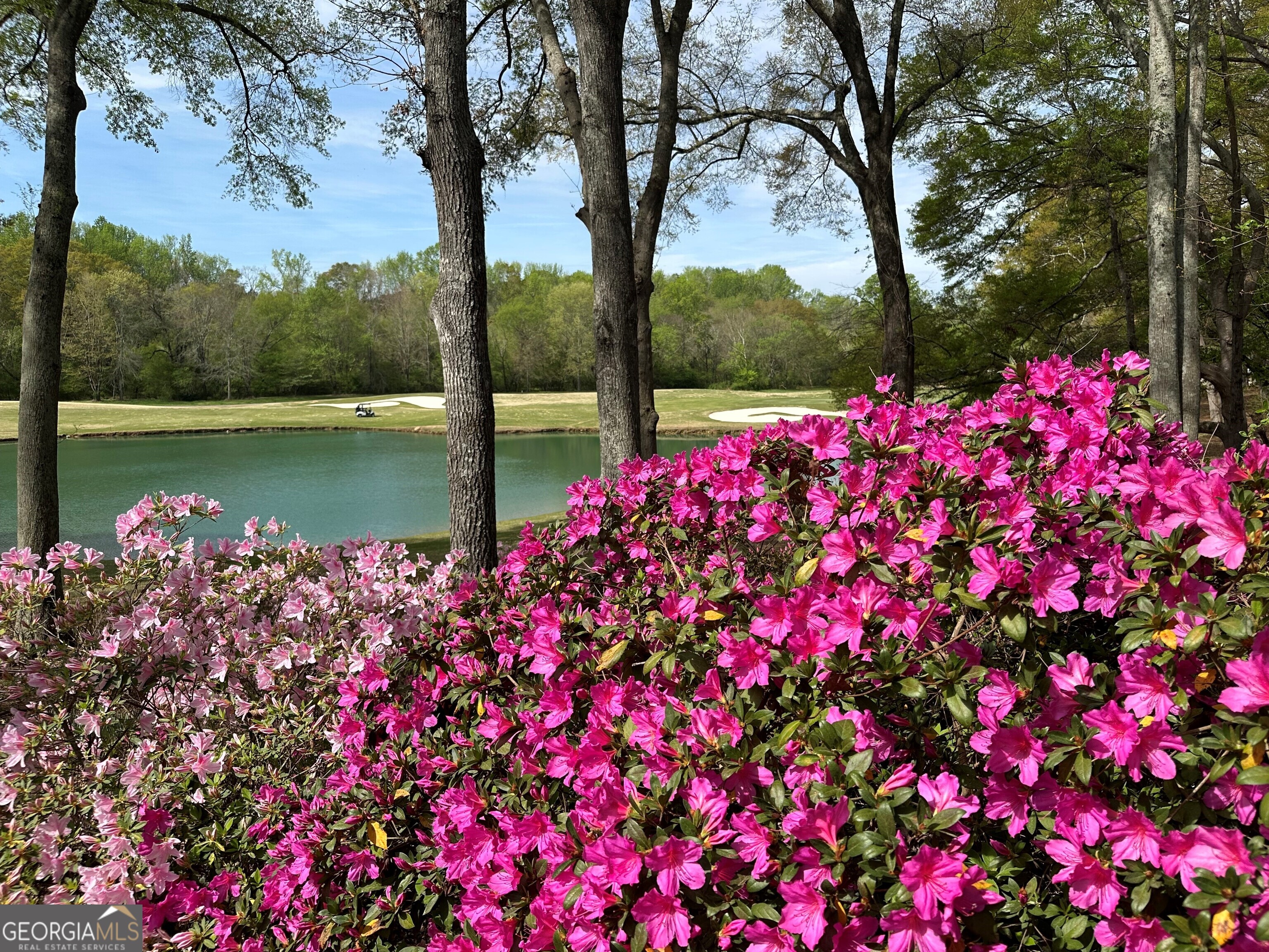 711 Bluff Road Statham, GA 30666 - Photo 74 of 79