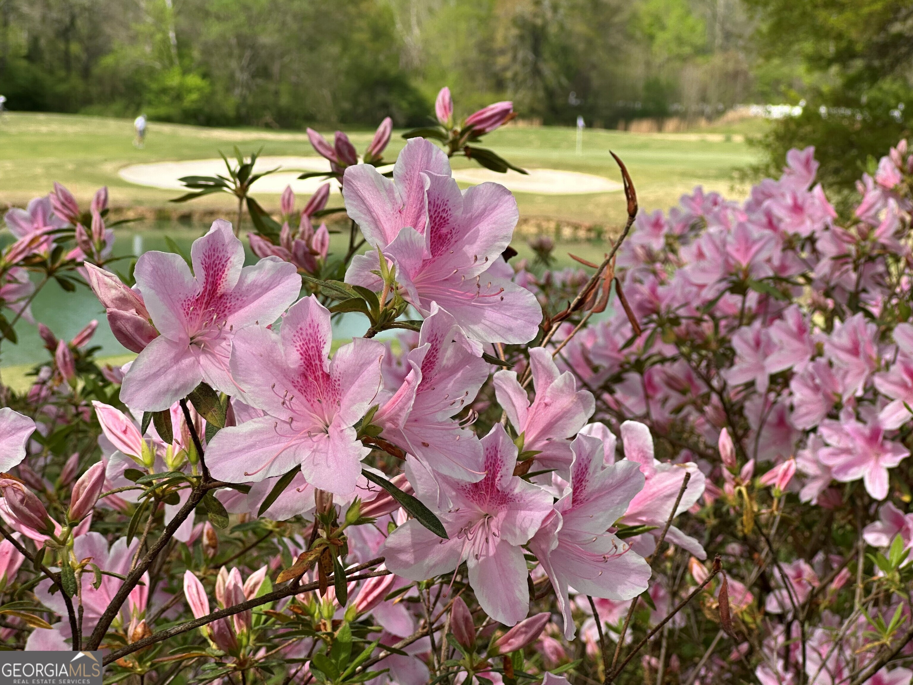 711 Bluff Road Statham, GA 30666 - Photo 75 of 79