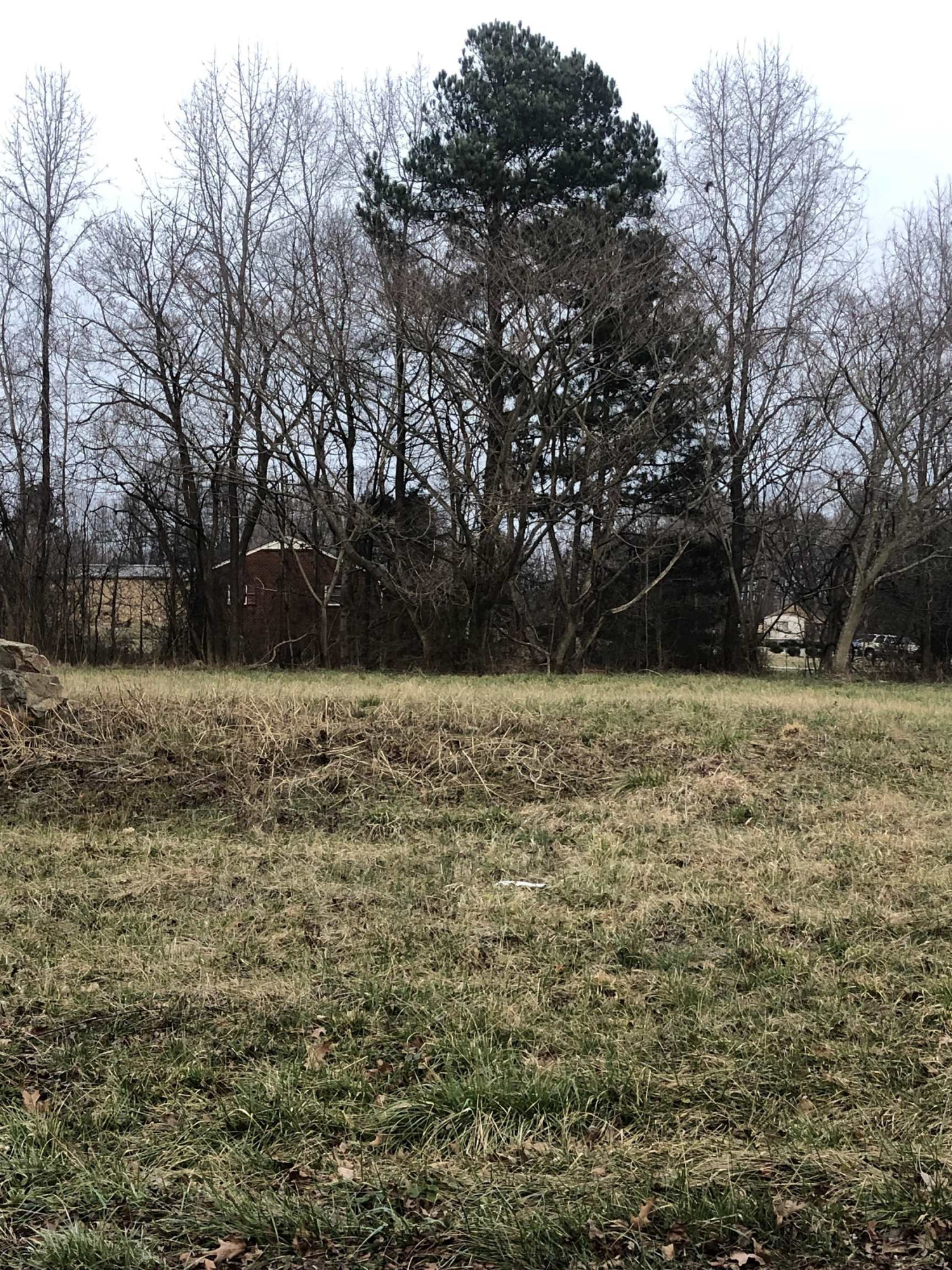 Tbd Lot 1 Tbd Road Mebane, NC 27302 - Photo 3 of 5 Photo 3