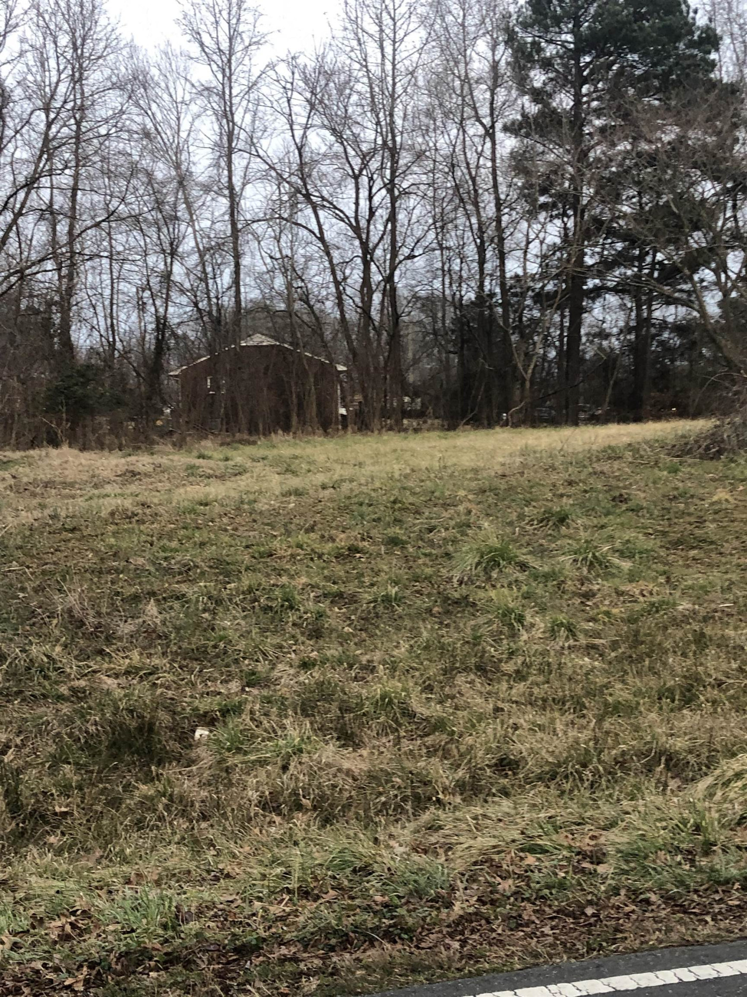 Tbd Lot 1 Tbd Road Mebane, NC 27302 - Photo 4 of 5 Photo 4