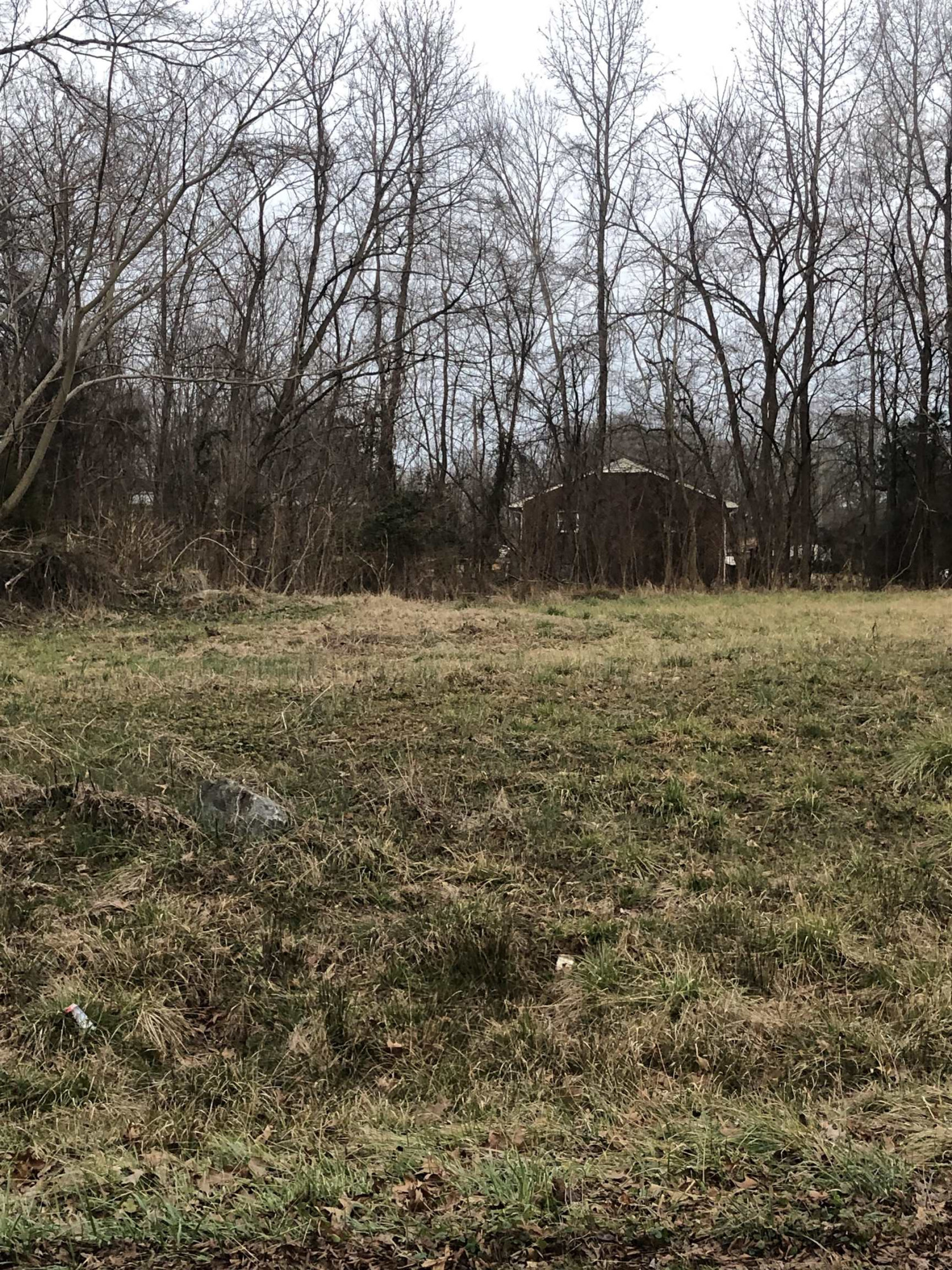 Tbd Lot 1 Tbd Road Mebane, NC 27302 - Photo 5 of 5 Photo 5