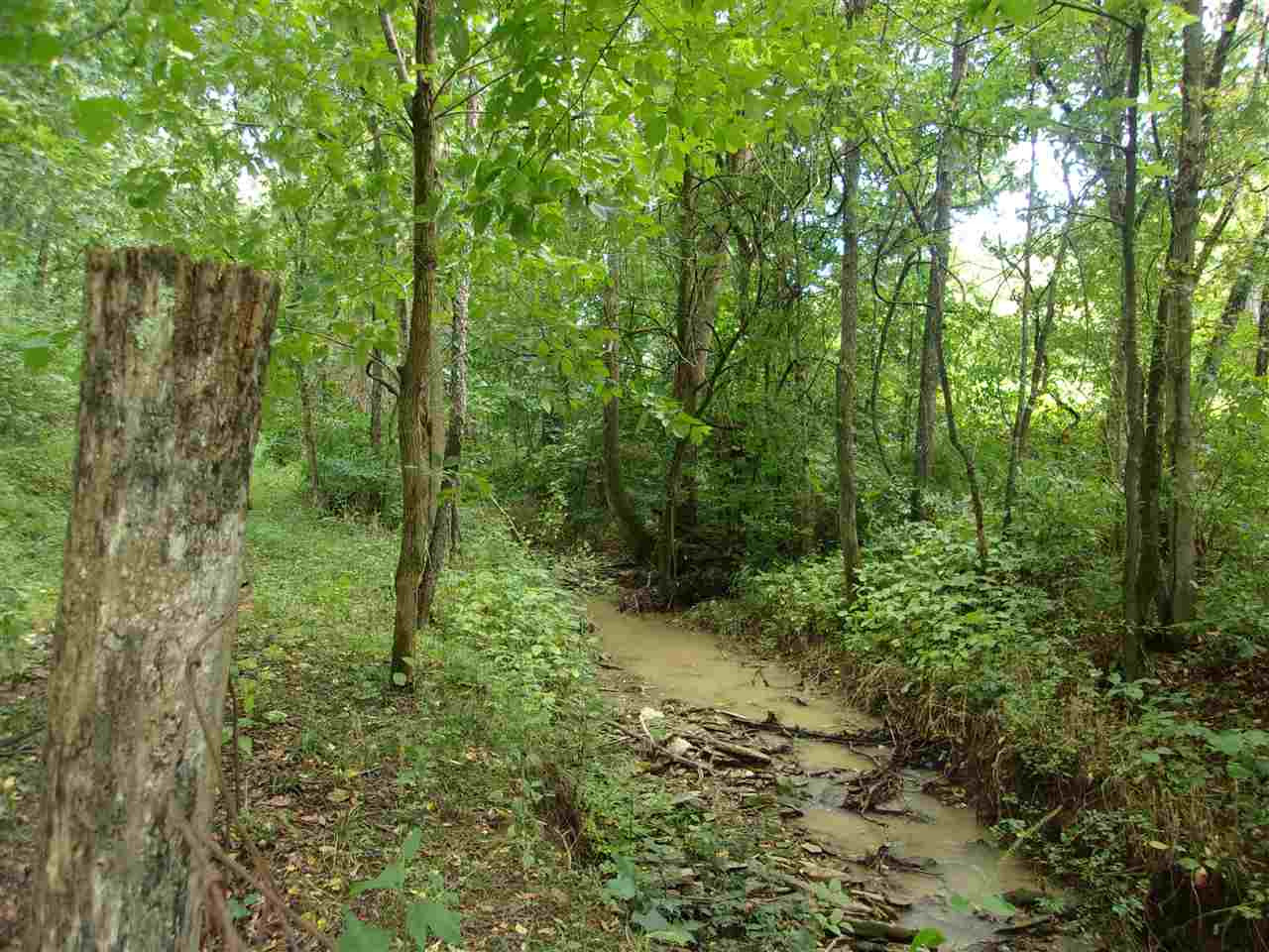 30-acres Dover Road Augusta, KY 41002 - Photo 46 of 50 Gallery Image 46