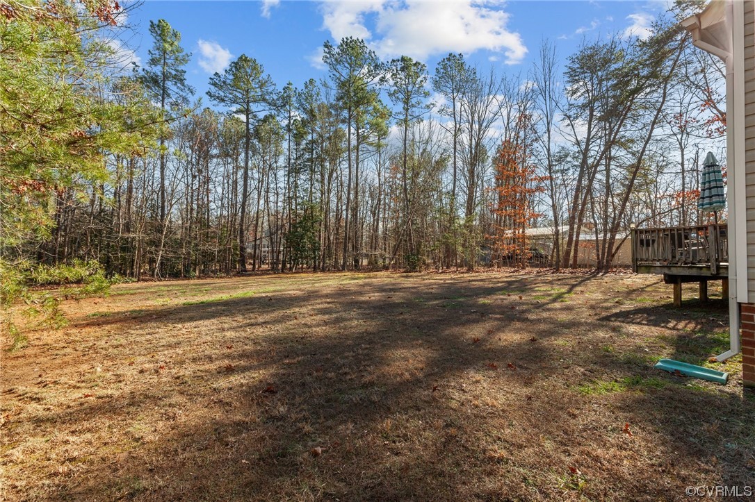 2835 Three Bridge Road Powhatan, VA 23139 - Photo 36 of 38 Gallery Image 36