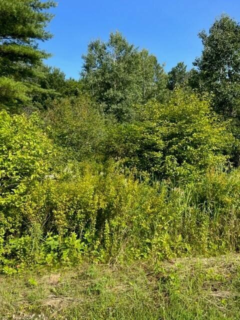 0 Howe Road Whitefield, ME 04353 - Photo 1 of 2 1