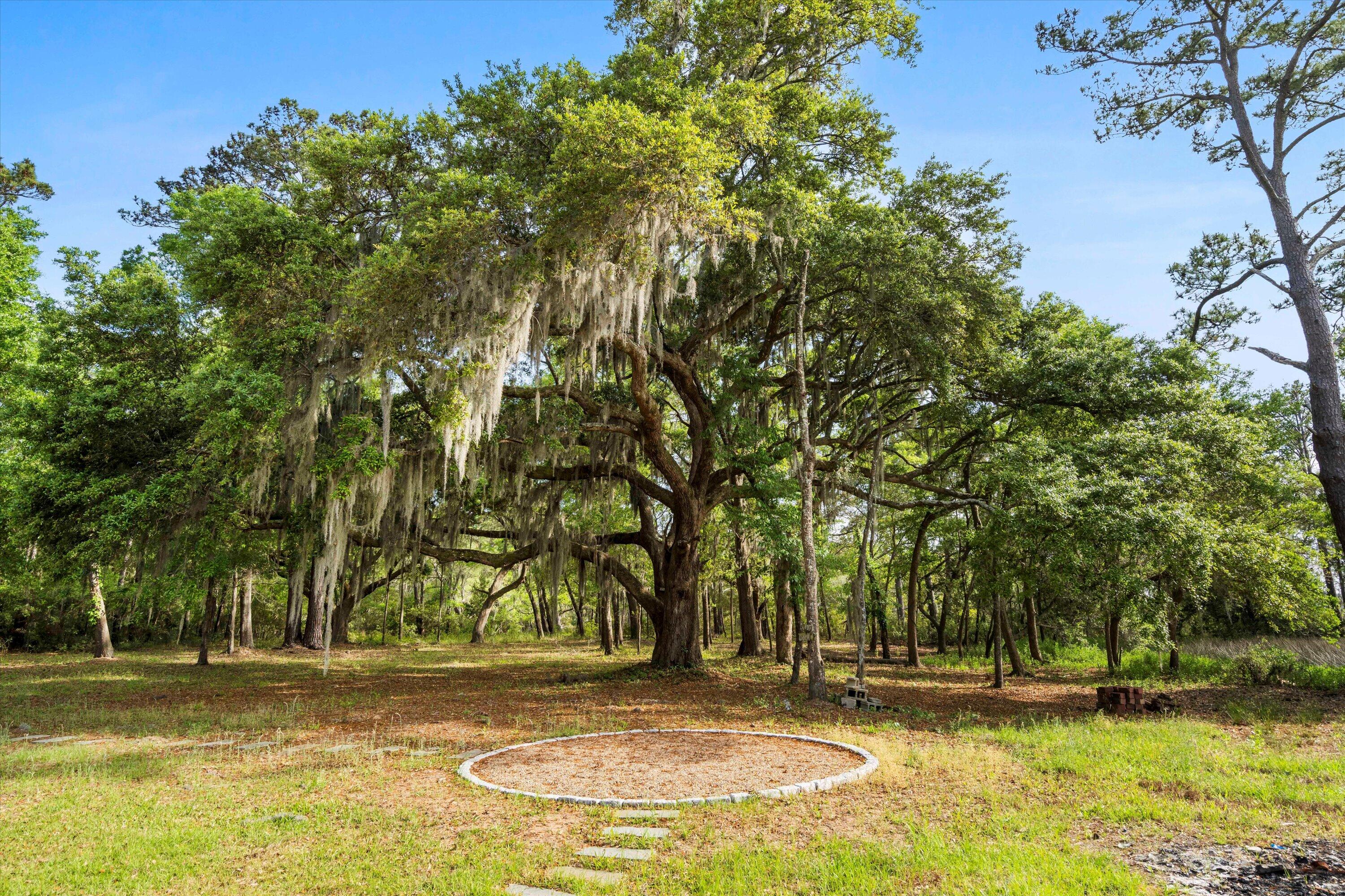 3399 Freeman Hill Road Johns Island, SC 29455 - Photo 48 of 62 48-DSC08727