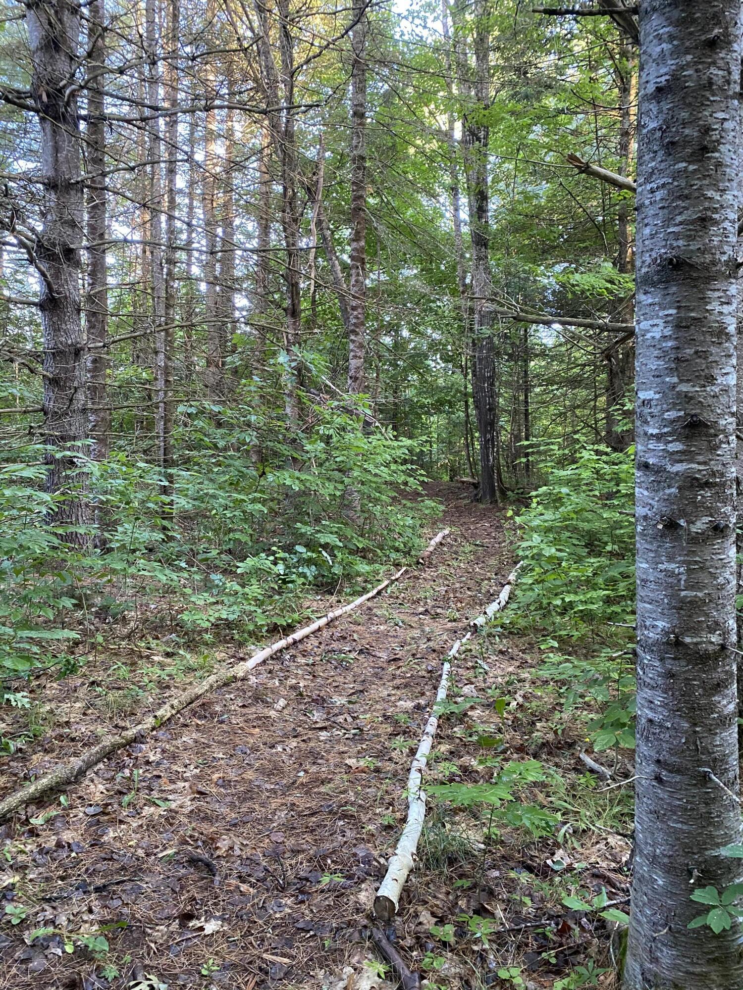 103 Faulkner Hill Road Starks, ME 04911 - Photo 23 of 28 24