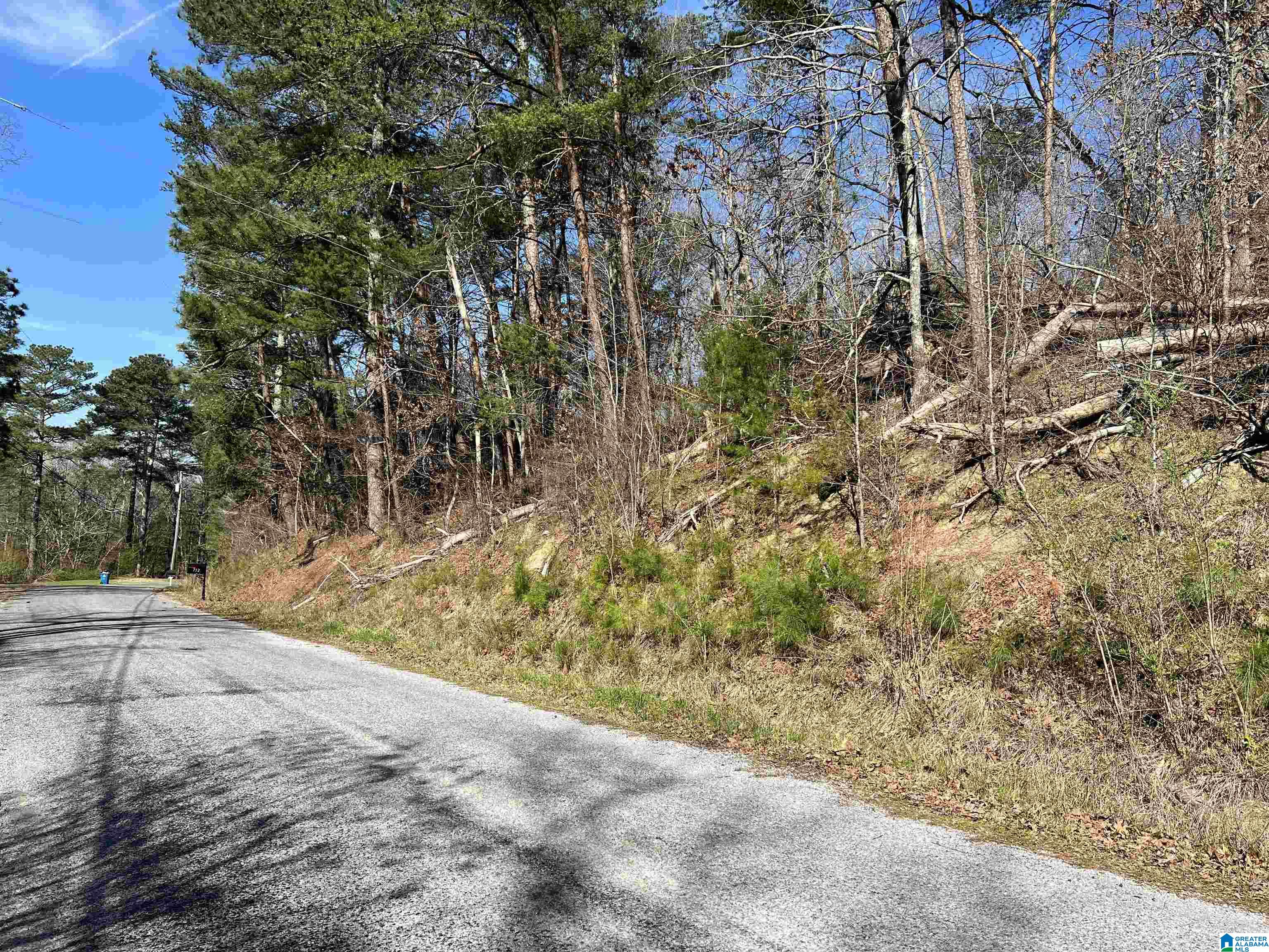 0 Lakeshore Lane, Unit 4 Oneonta, AL 35121 - Photo 29 of 49