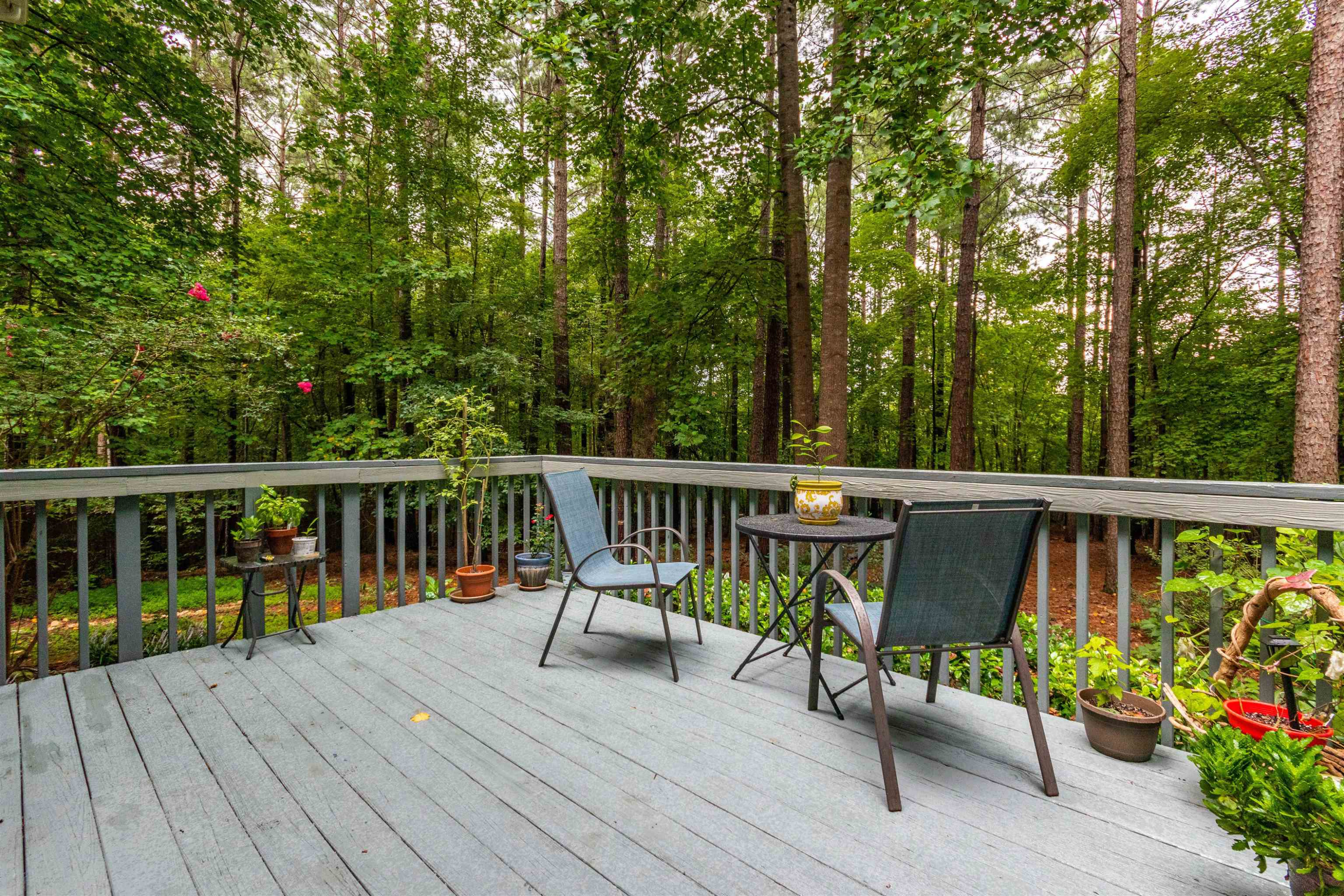 1104 High Summit Drive Raleigh, NC 27603 - Photo 2 of 16 Photo 2