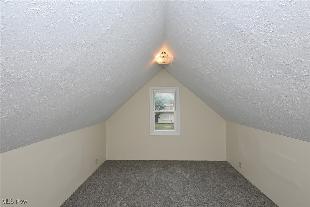 897 Reed Avenue Akron, OH 44306 - Photo 20 of 33 Additional living space featuring vaulted ceiling, a textured ceiling, and carpet flooring