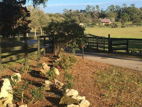 a view of swimming pool with an outdoor space