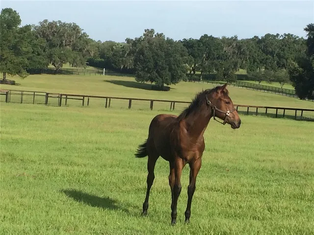 a view of a lake with a big yard