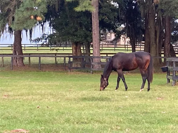 a view of a lake with a mountain